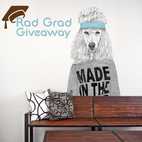 Rad Grad Giveaway - Win a $100 My Wonderful Walls Gift Card - My Wonderful Walls