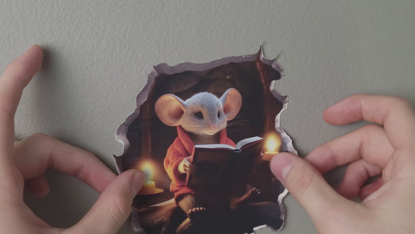 Reading Mouse Video