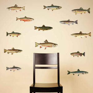 Trout Wall Decals - Set of 13 Realistic Fish Stickers