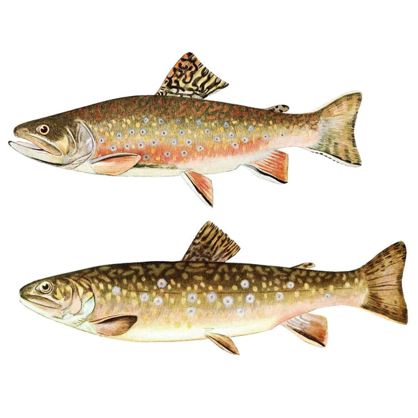 Trout Wall Decals - Set of 13 Realistic Fish Stickers