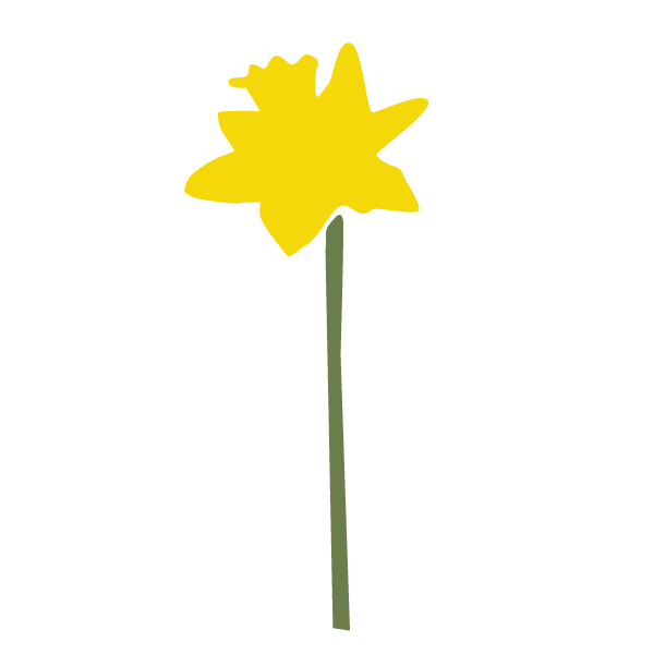 Daffodil Stencil 2
