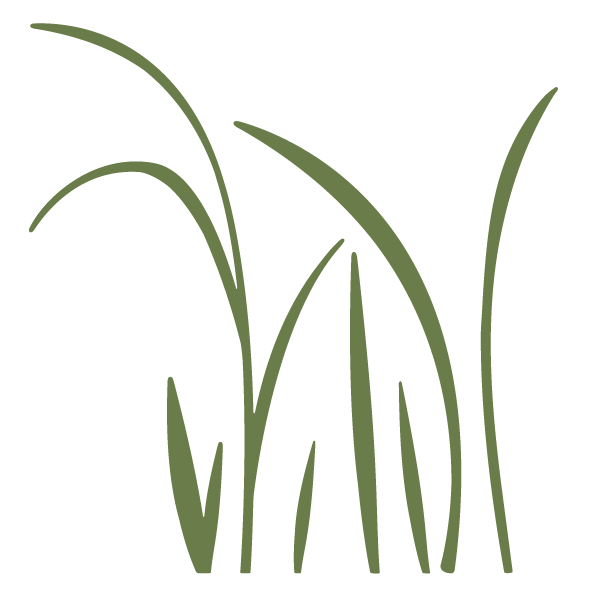 Grass Stencil 5