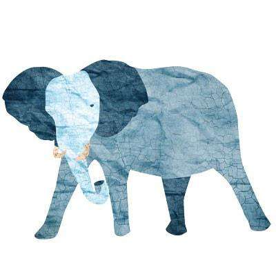 Jungle Safari Wall Decals – Peel & Stick Tree Sticker and Jungle Animal Decals - MINI SET - My Wonderful Walls