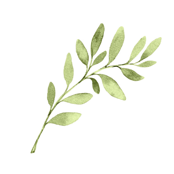 Watercolor Green Leaves Wall Decals - My Wonderful Walls