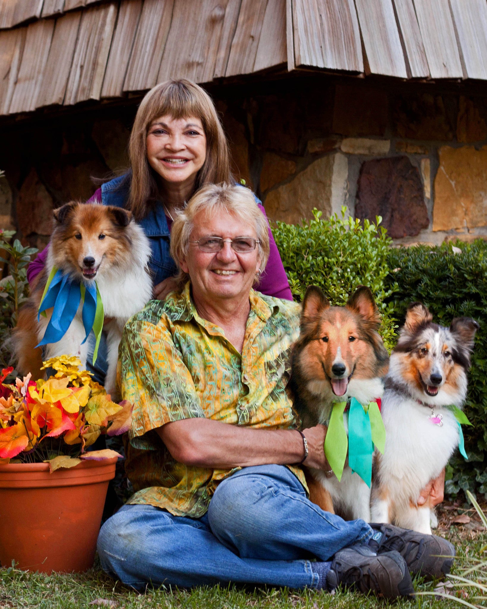 Paws Park Wall Decals Get Tails A-Wagging At the East Bay Dog Spot