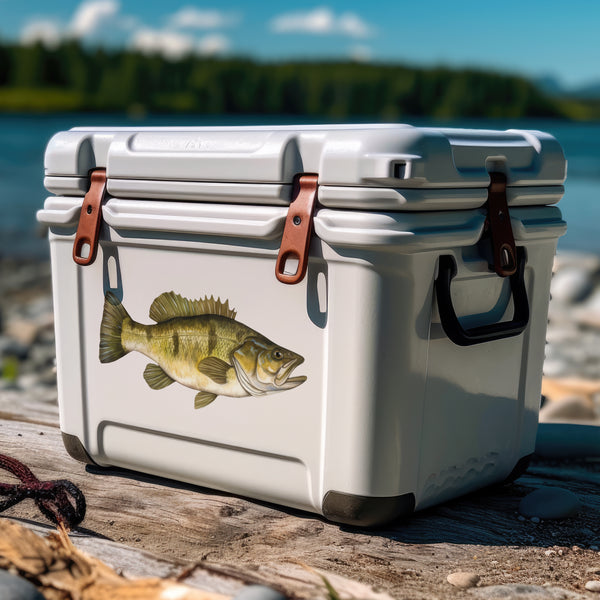 Bass on a cooler