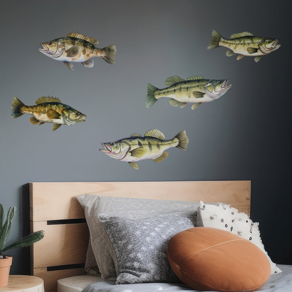 Bass in living room