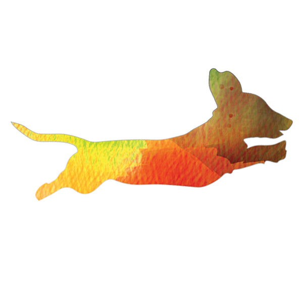 Dog 6
