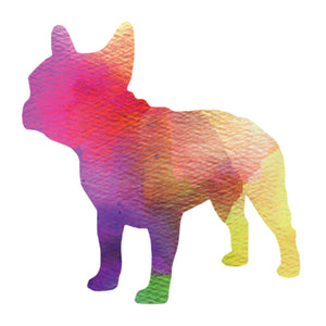 Dog 7
