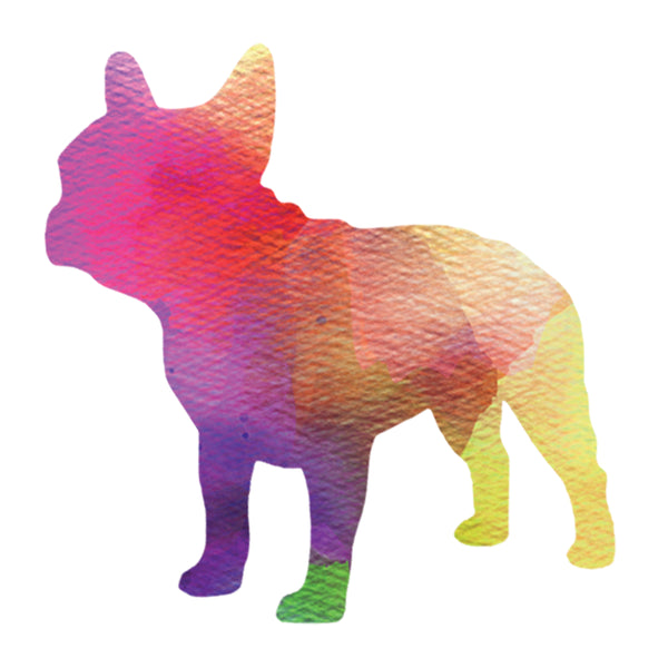 Dog 7