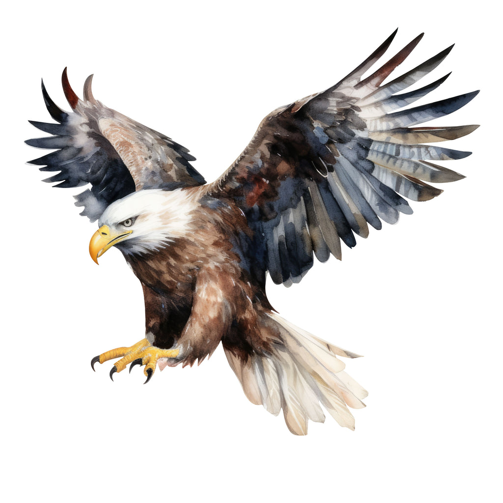 Bald eagle decal