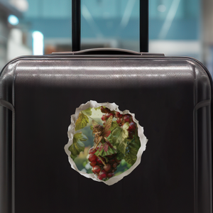 Grape Fairy Decal on luggage