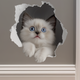 Sticky Image