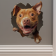 Sticky Image