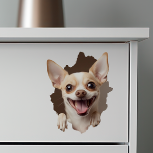 Chihuahua Decal on dresser