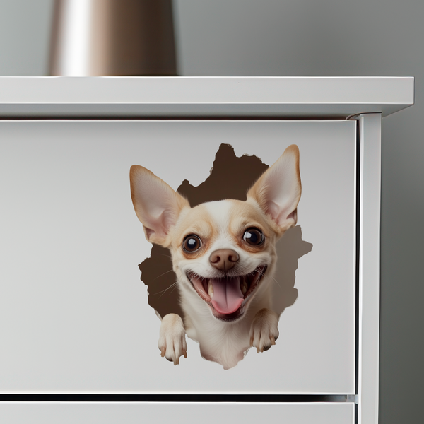 Chihuahua Decal on dresser