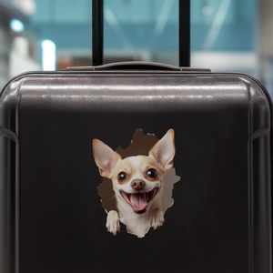 Chihuahua Decal on luggage