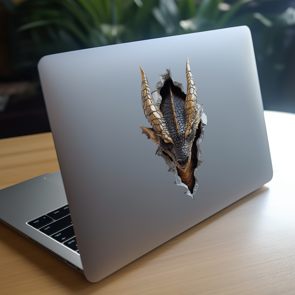 Black Dragon Decal on laptop