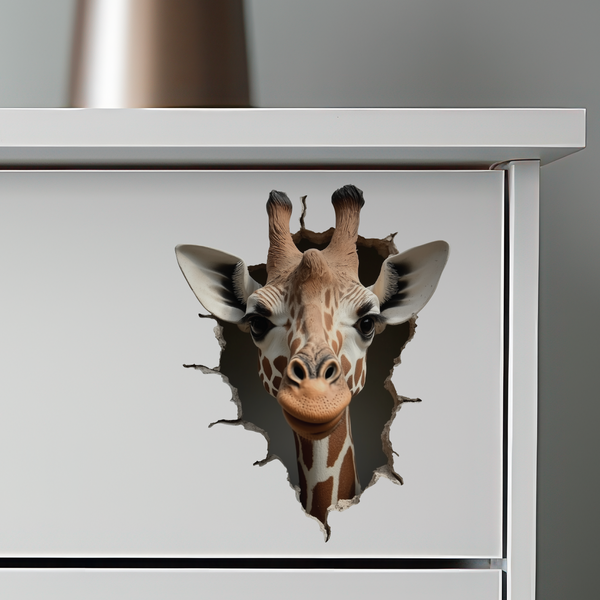 Giraffe Decal on dresser
