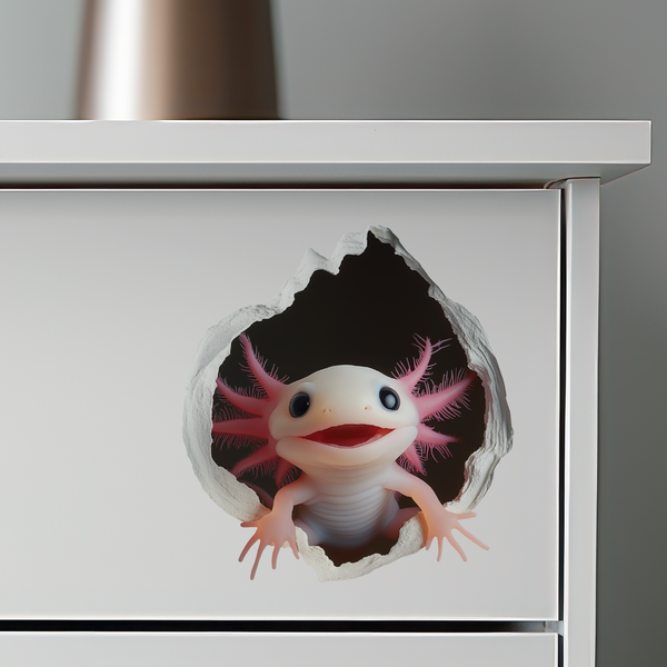 Axolotl Decal on dresser