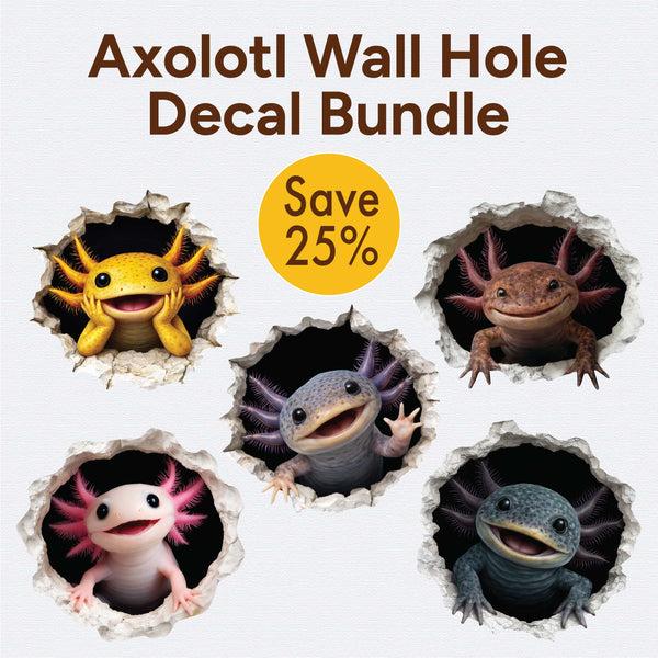 Axolotl Wall Hole Bundle