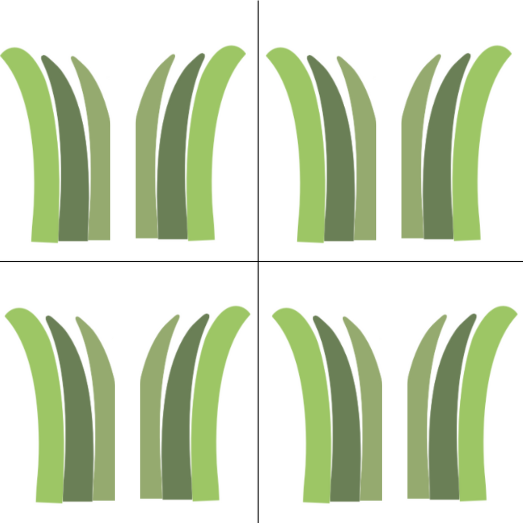 Grass Sprigs