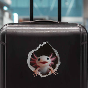 Axolotl Hole Decal - My Wonderful Walls