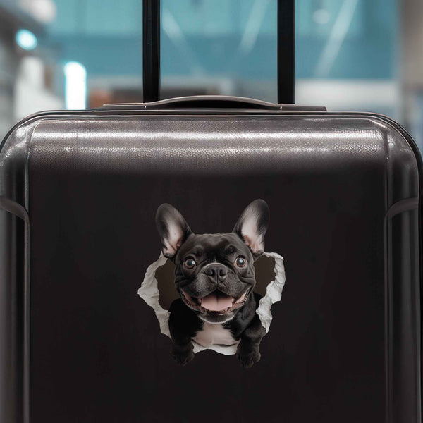 Black French Bulldog Hole Decal - My Wonderful Walls