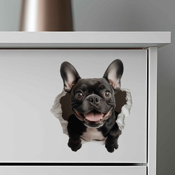 Black French Bulldog Hole Decal - My Wonderful Walls
