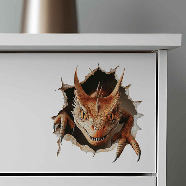 Creeping Dragon Hole Decal - My Wonderful Walls