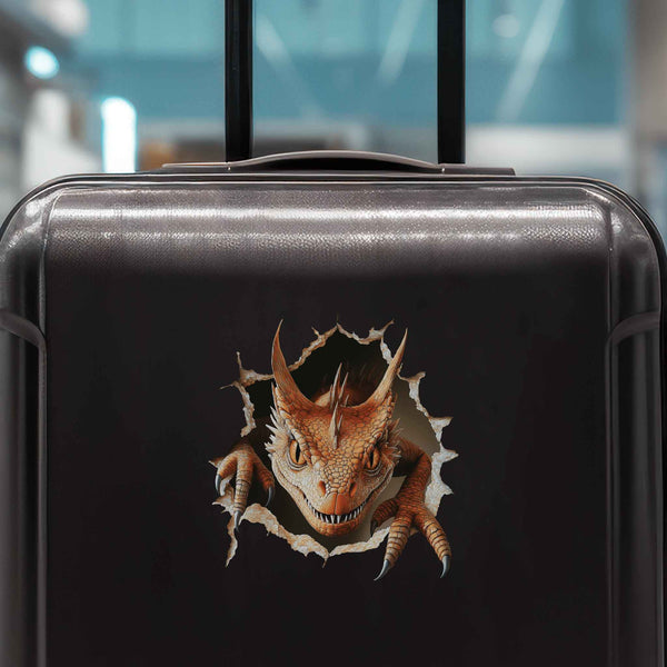 Creeping Dragon Hole Decal - My Wonderful Walls