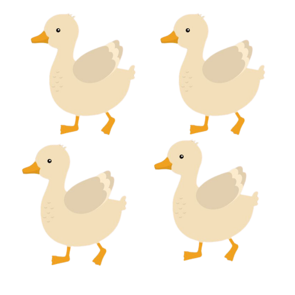 Ducks - Set of 4