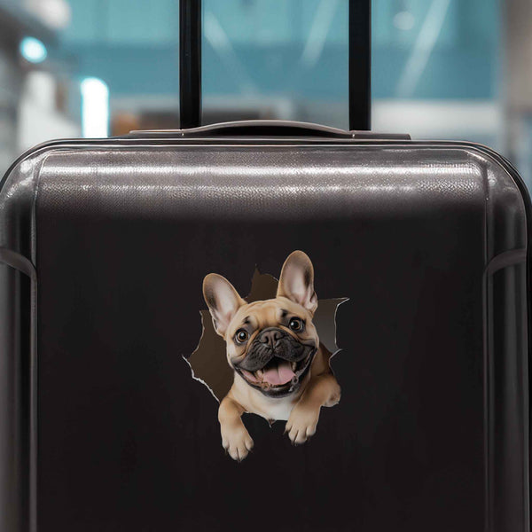 French Bulldog Hole Decal - My Wonderful Walls