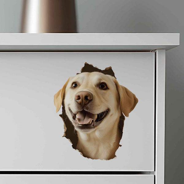 Golden Retriever Dog Hole Decal - My Wonderful Walls