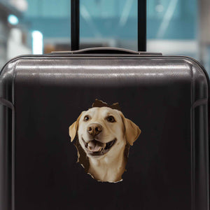 Golden Retriever Dog Hole Decal - My Wonderful Walls