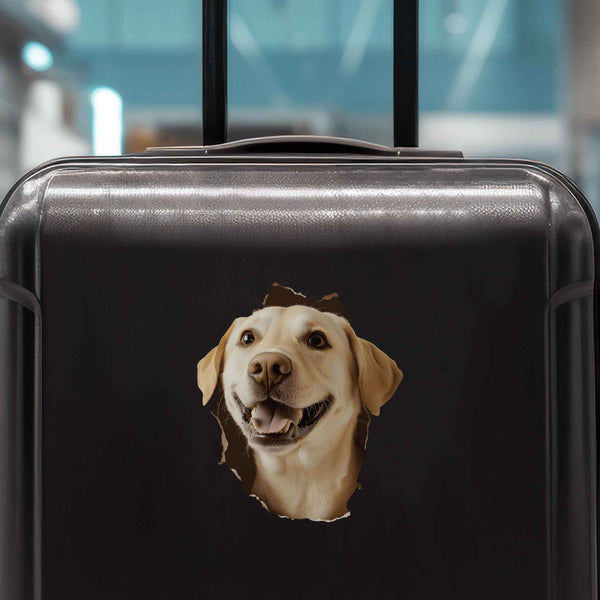 Golden Retriever Dog Hole Decal - My Wonderful Walls