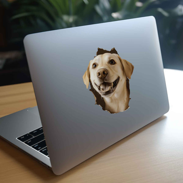Golden Retriever Dog Hole Decal - My Wonderful Walls