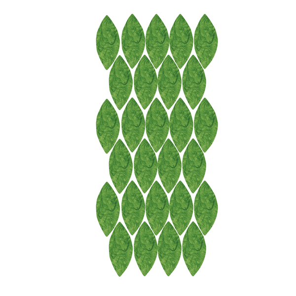 Green OVERLAY Leaves for Birthday Tree - Set of 27 - My Wonderful Walls