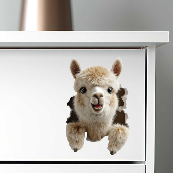 Llama Hole Decal - My Wonderful Walls