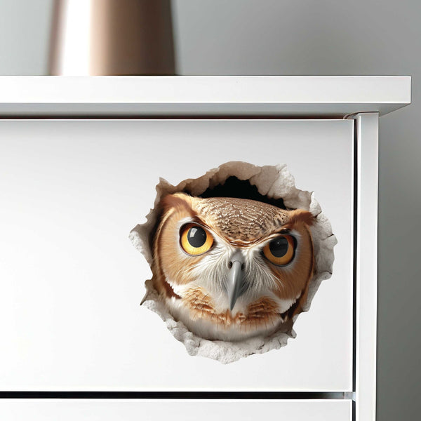 Owl Hole Decal - My Wonderful Walls