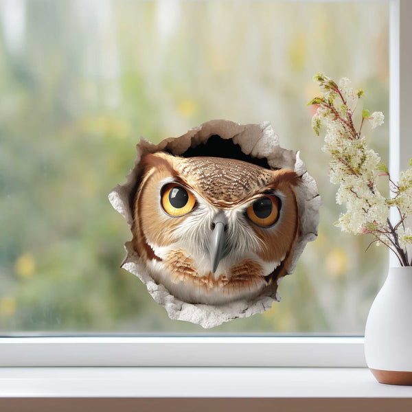 Owl Hole Decal - My Wonderful Walls