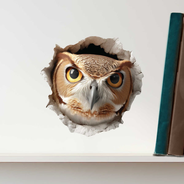 Owl Hole Decal - My Wonderful Walls