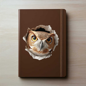 Owl Hole Decal - My Wonderful Walls