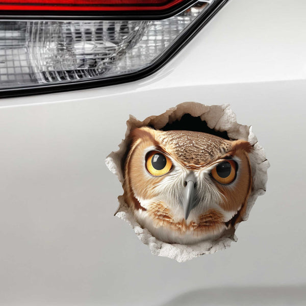 Owl Hole Decal - My Wonderful Walls