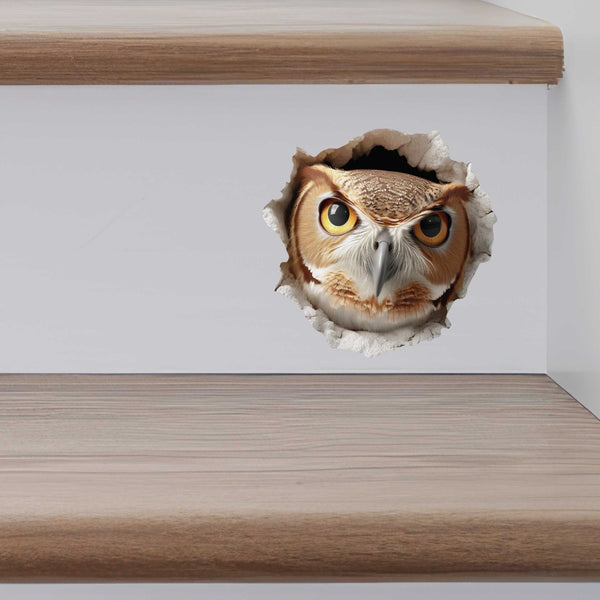 Owl Hole Decal - My Wonderful Walls