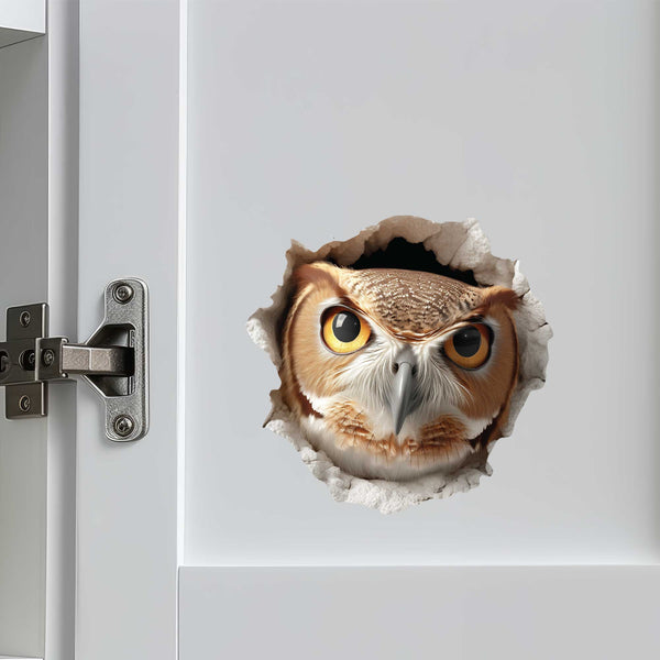 Owl Hole Decal - My Wonderful Walls