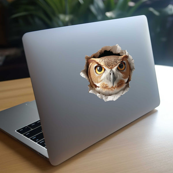 Owl Hole Decal - My Wonderful Walls
