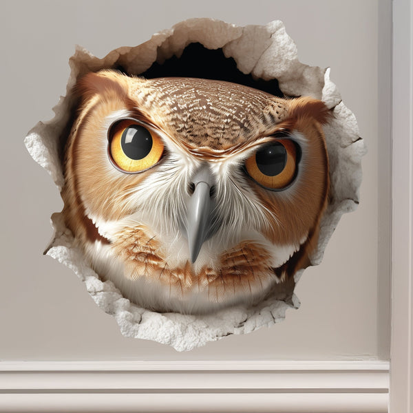 Owl Hole Decal - My Wonderful Walls