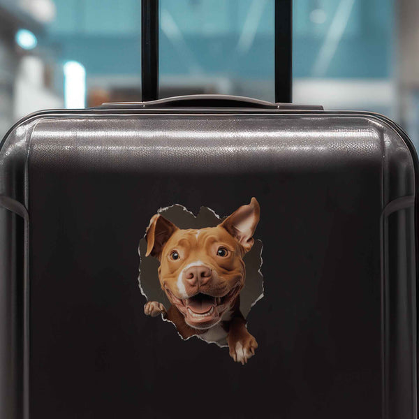 Pitbull Dog Hole Decal - My Wonderful Walls
