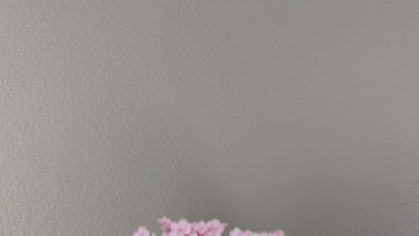 1790 decal video